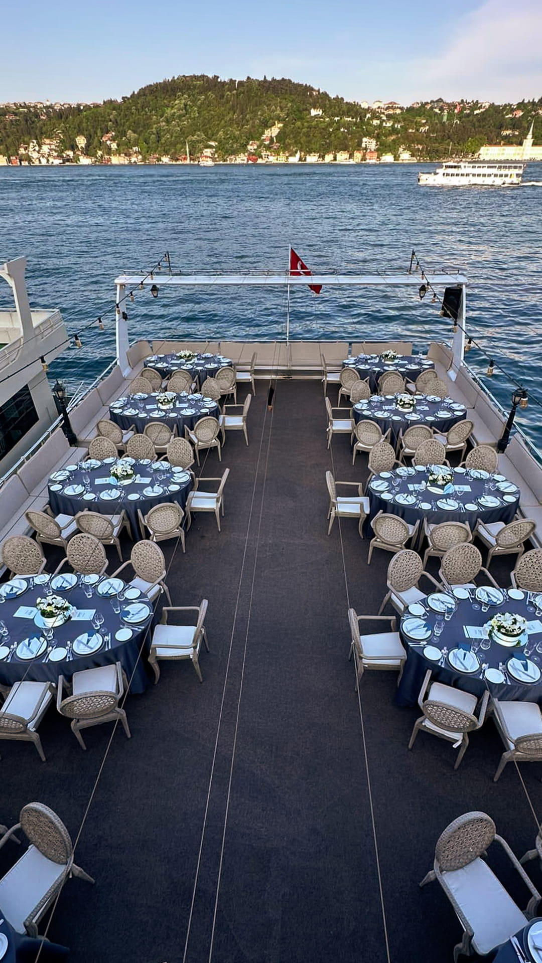 siteStory 2391 (1).jpg